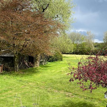 Horseford Lodge B&B South Molton Buitenkant foto